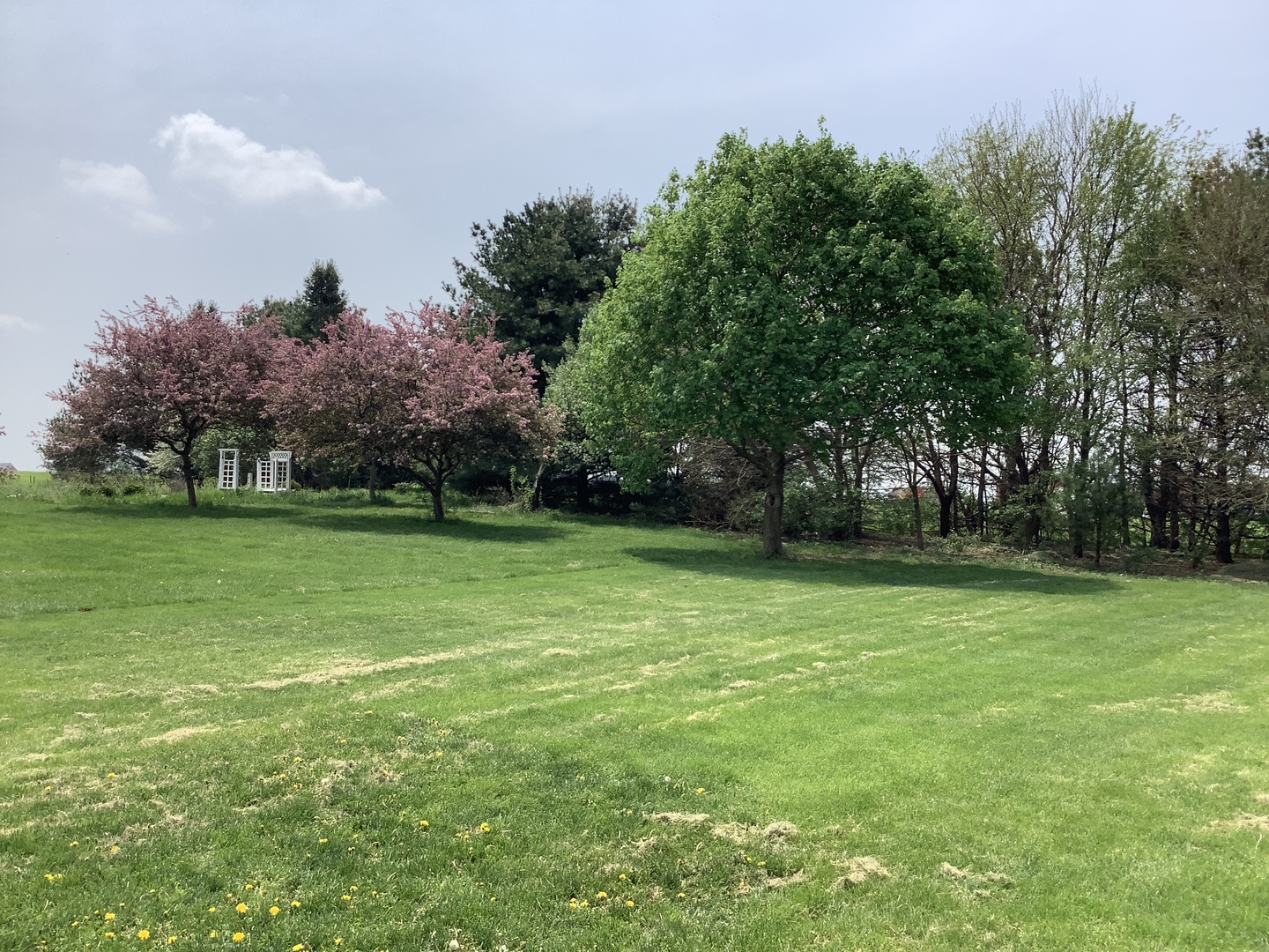 16623 West Sweedler Road Manhattan, IL 60442 - Photo 42 of 43 a view of a field of grass and trees