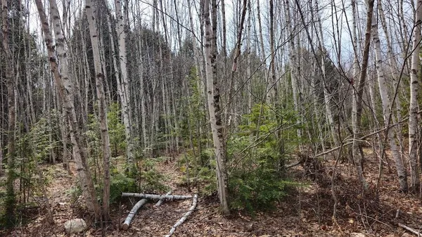 $29,900 | 0 Woodland Drive, Unit 11, Carmel, ME 04419