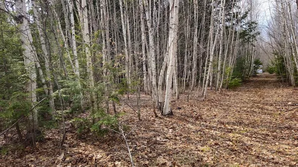 $29,900 | 0 Woodland Drive, Unit 11, Carmel, ME 04419