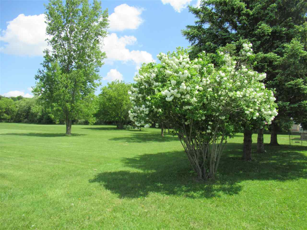 6741 Reside Road Imlay City, MI 48444 - Photo 61 of 62 50076301-60.JPG