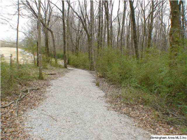 124 Star View Circle Alabaster, AL 35007 - Photo 6 of 24 Gallery Image 6