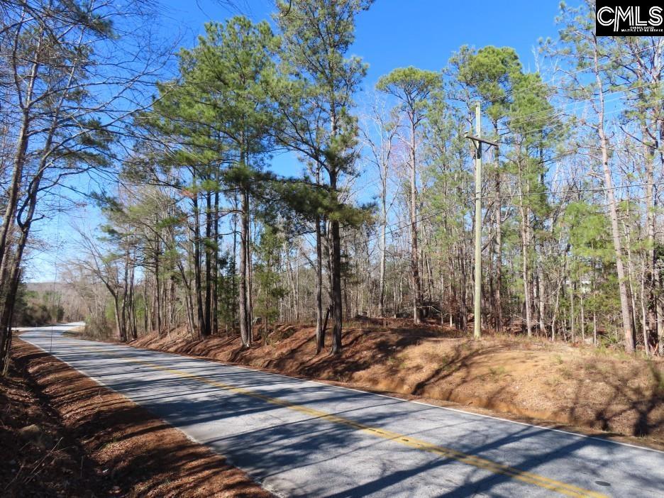 0 Rion Road Winnsboro, SC 29180 - Photo 5 of 42