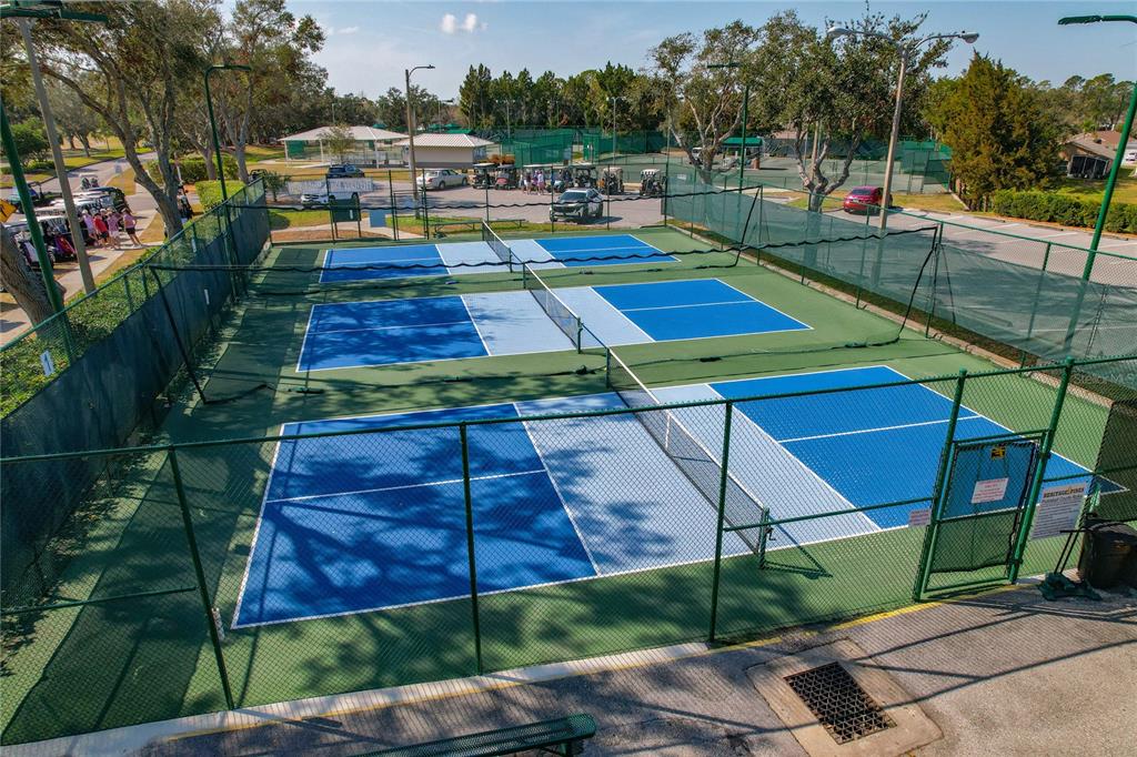 11744 Wheatfield Loop Hudson, FL 34667 - Photo 39 of 48 Pickleball