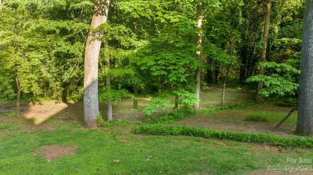 a view of a lush green forest with lots of trees