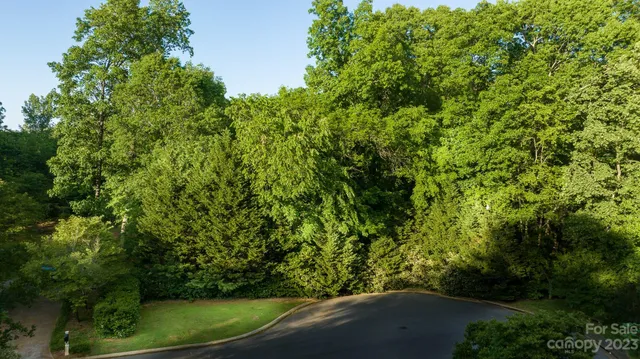 a view of a lake from a yard