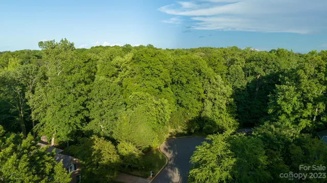 a view of a garden with plants