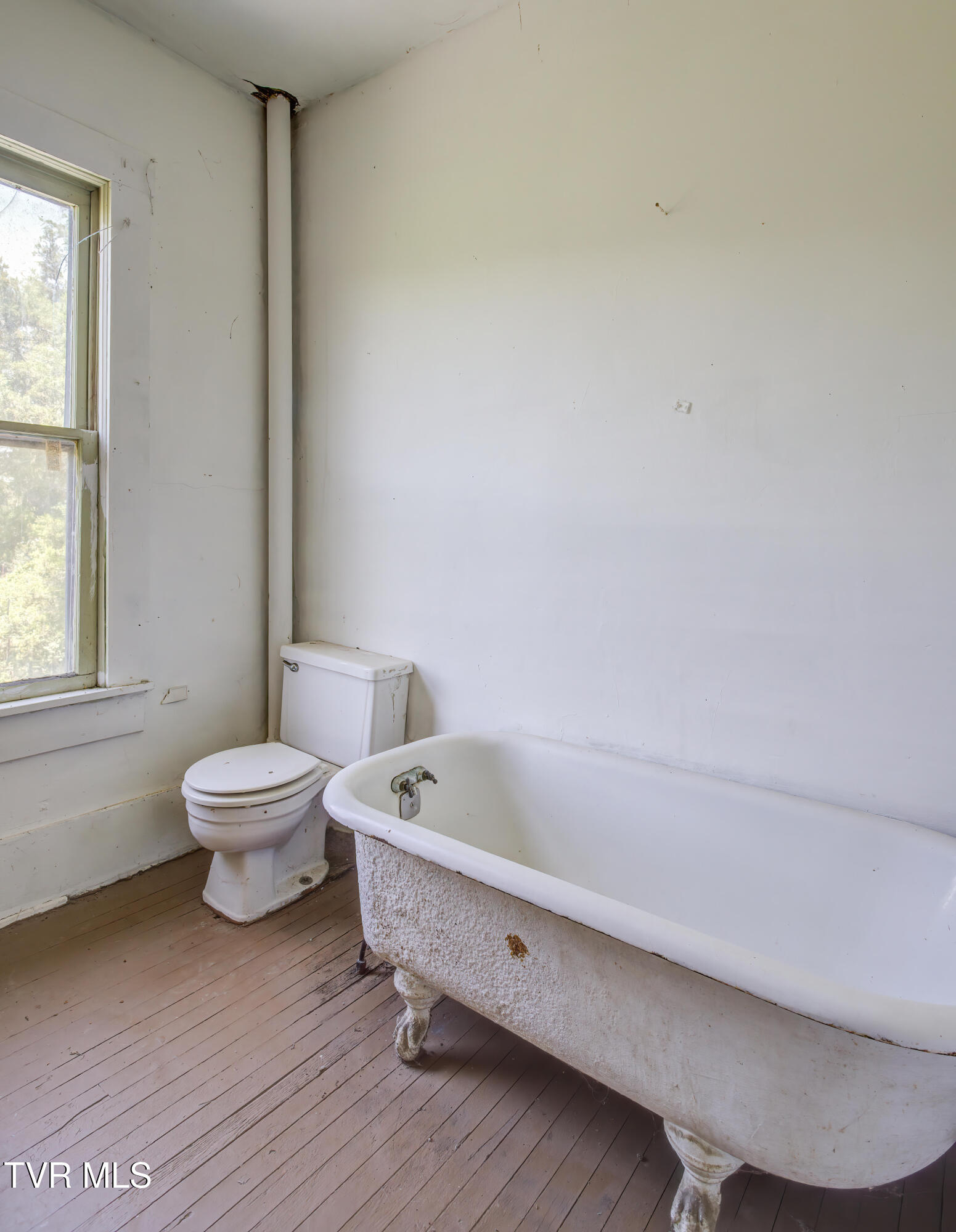 101 Shell Road, Unit 101 Jonesborough, TN 37659 - Photo 24 of 31 101 Shell Road (24)