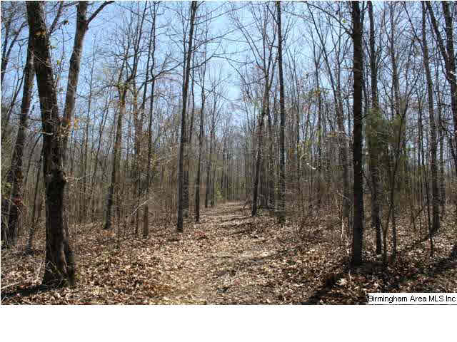 0 Silley Dean Road Northwest, Unit 277 AC Pinson, AL 35126 - Photo 12 of 19