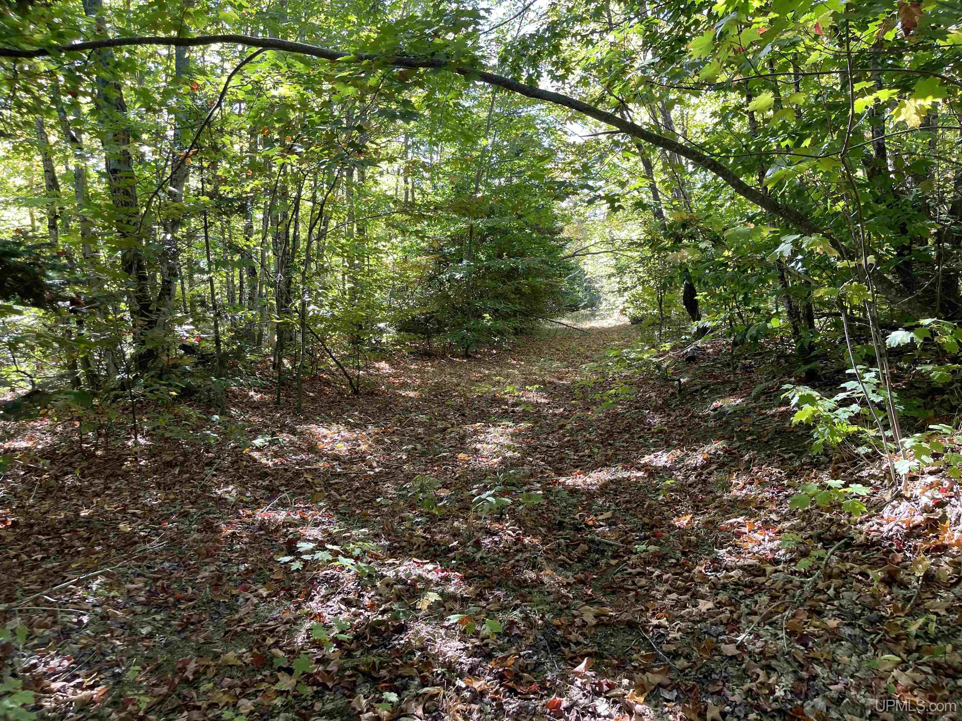 160 Acres Off H-58 Road Seney, MI 49883 - Photo 13 of 26