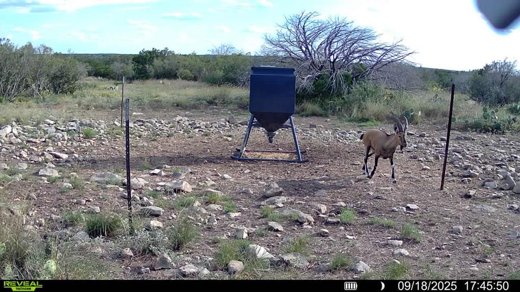 0 J S Murry Ranch Road Del Rio, TX 78840 - Photo 1 of 38