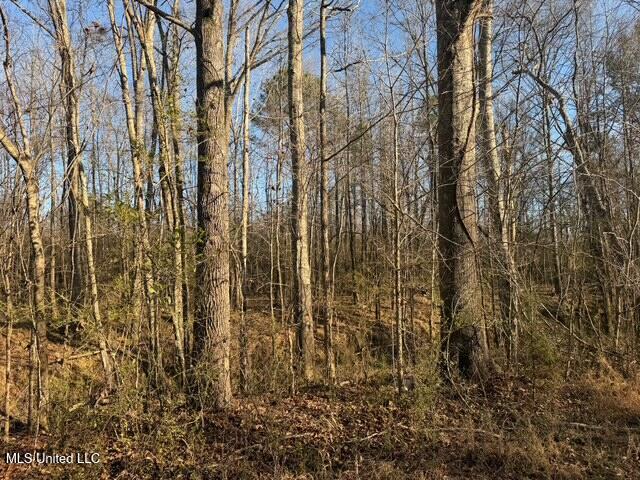 Raymond Road Jackson, MS 39212 - Photo 23 of 86 IMG_1027