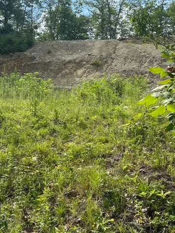 a view of a yard with plants and a bench