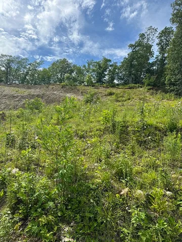 a view of a pathway both side of river and trees