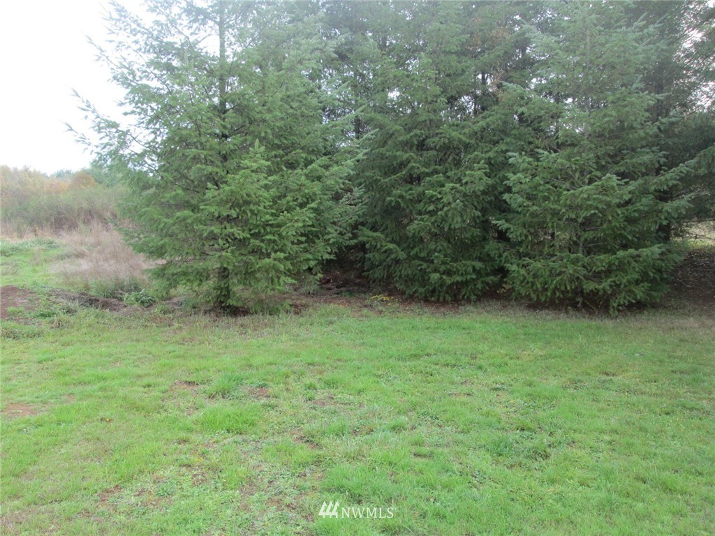 133 Allman Road Winlock, WA 98596 - Photo 6 of 12