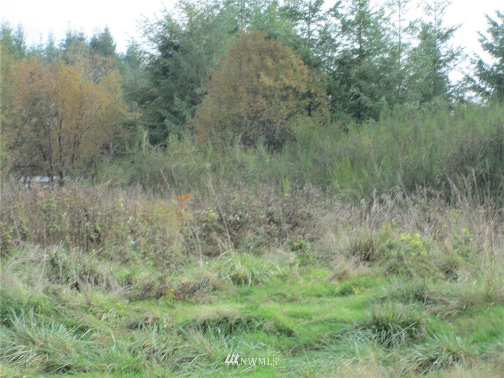 133 Allman Road Winlock, WA 98596 - Photo 7 of 12