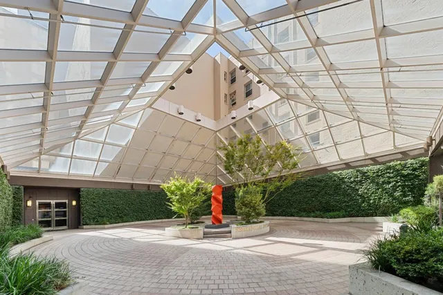 a view of a garden with plants