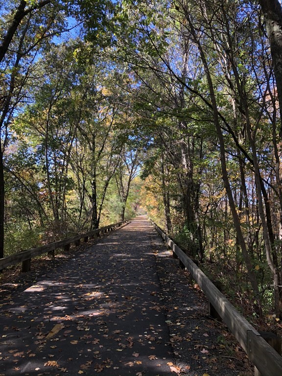 4 Eliot Road Lexington, MA 02421 - Photo 40 of 40