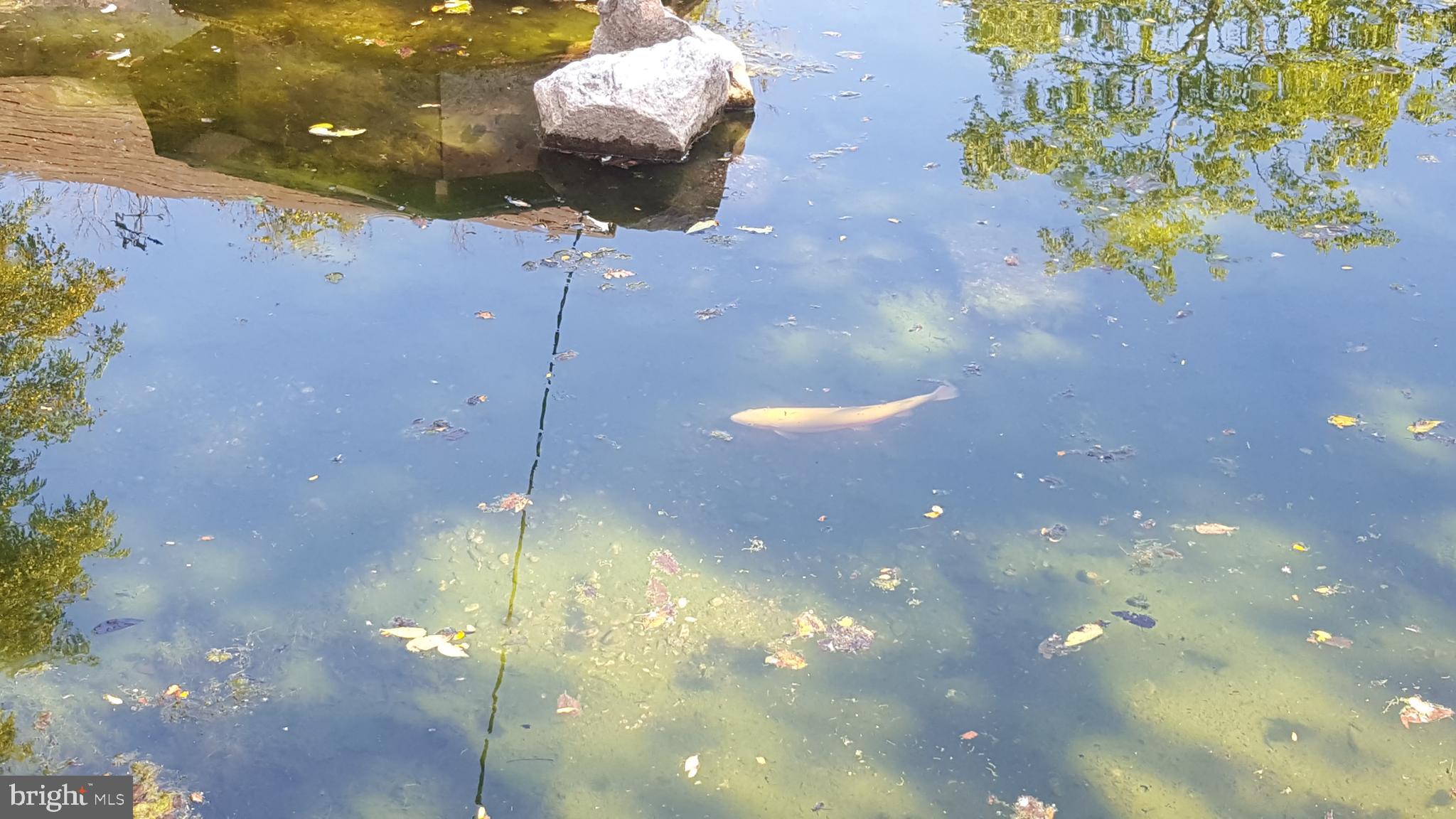 2902 Lower Saucon Road Hellertown, PA 18055 - Photo 40 of 45