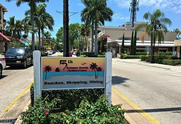 a view of a park with palm trees