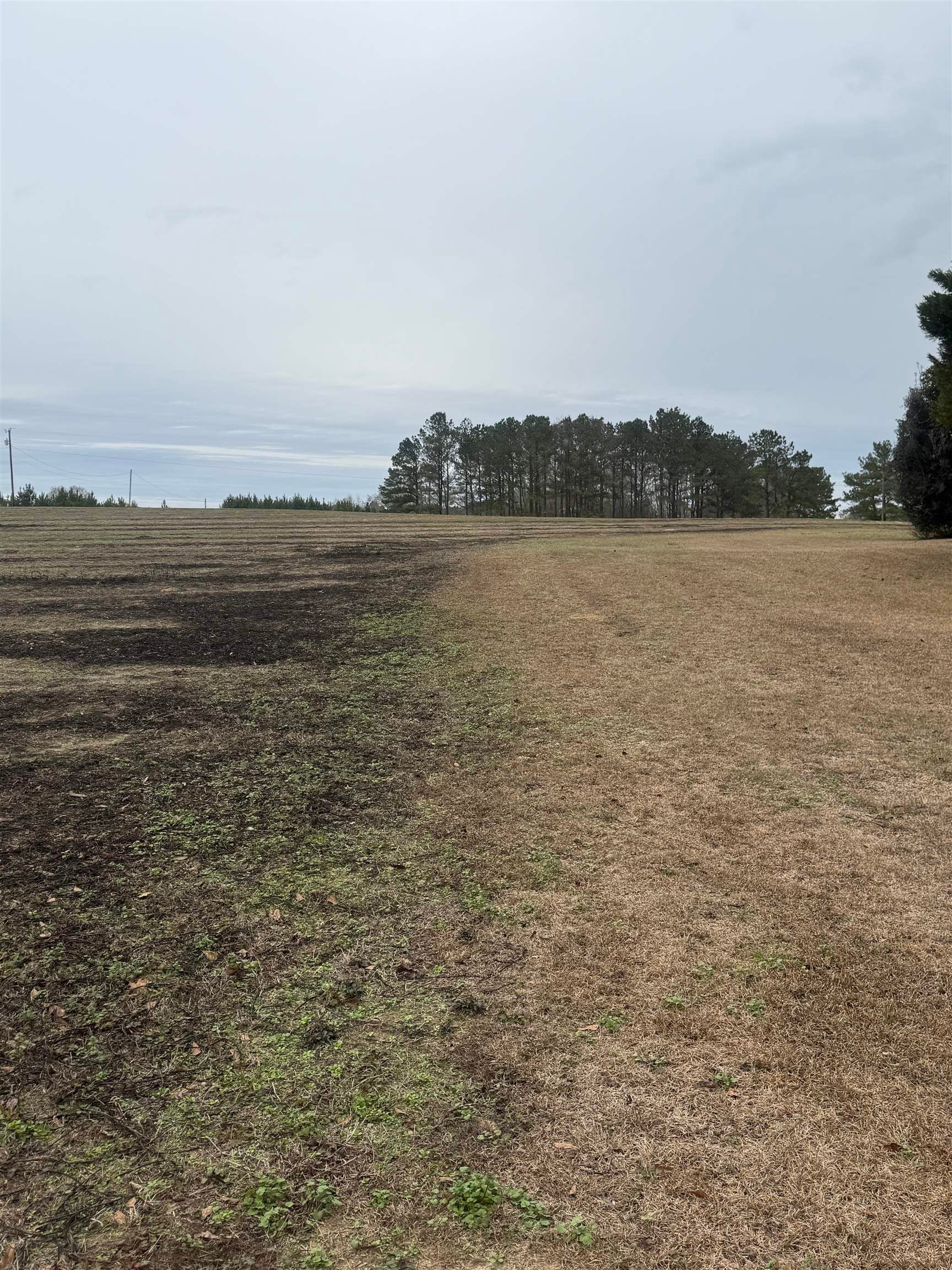 18827 Leon Wiggins Road Andalusia, AL 36420 - Photo 36 of 36 Gallery Image 36