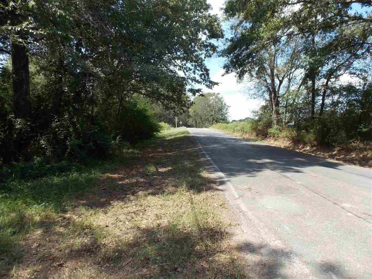 425 Virlilia Road Canton, MS 39046 - Photo 1 of 6 Photo 1