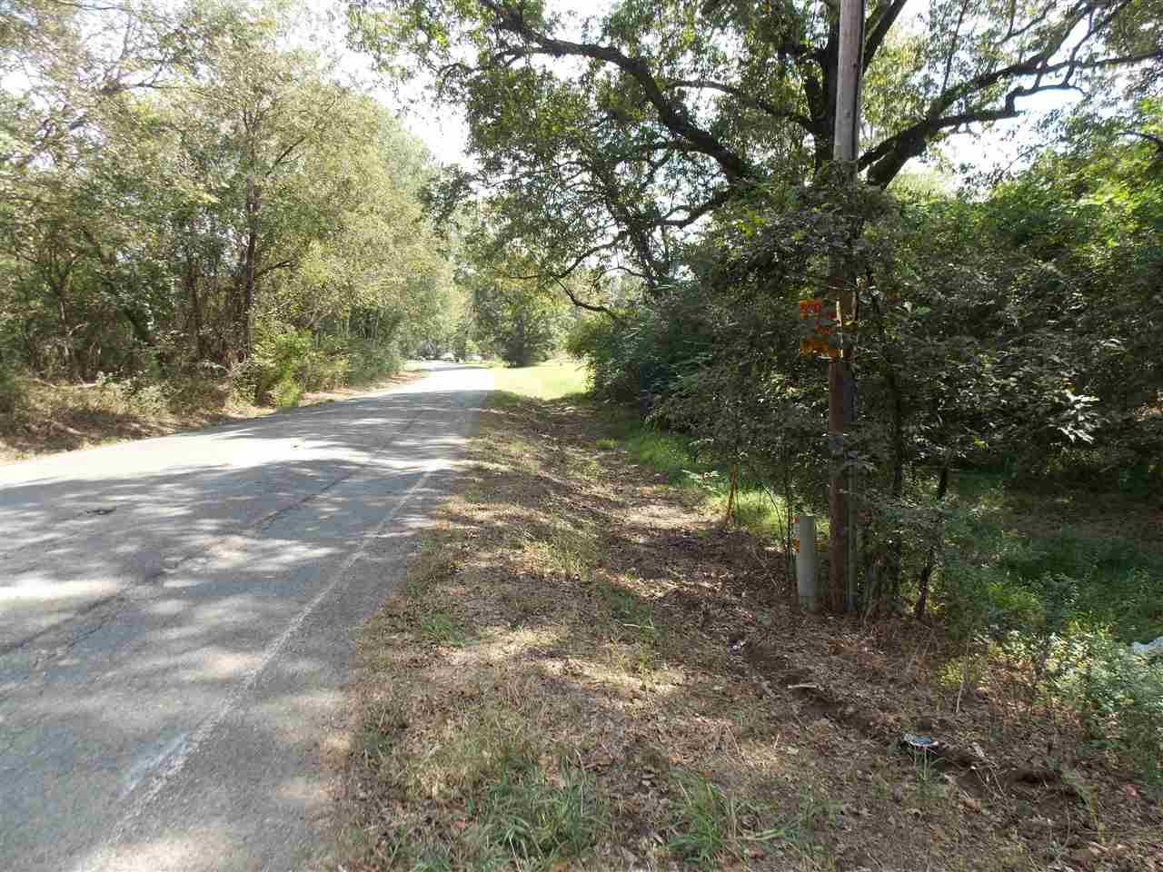 425 Virlilia Road Canton, MS 39046 - Photo 2 of 6 Photo 2