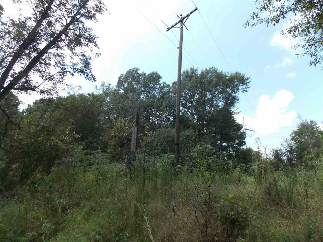 425 Virlilia Road Canton, MS 39046 - Photo 3 of 6 Photo 3