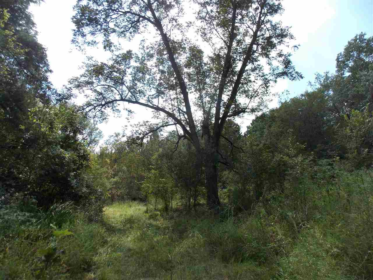 425 Virlilia Road Canton, MS 39046 - Photo 4 of 6 Photo 4