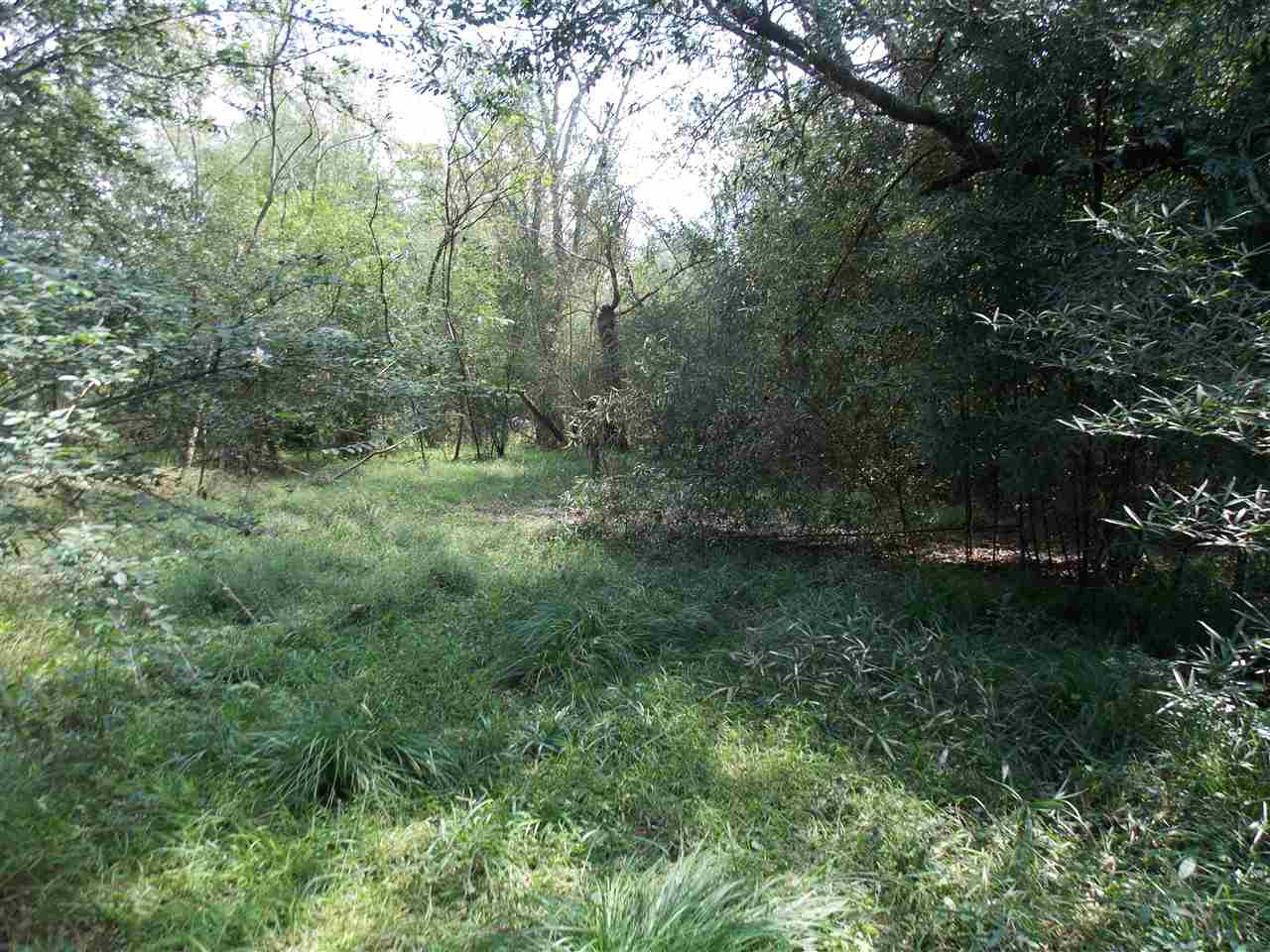 425 Virlilia Road Canton, MS 39046 - Photo 5 of 6 Photo 5