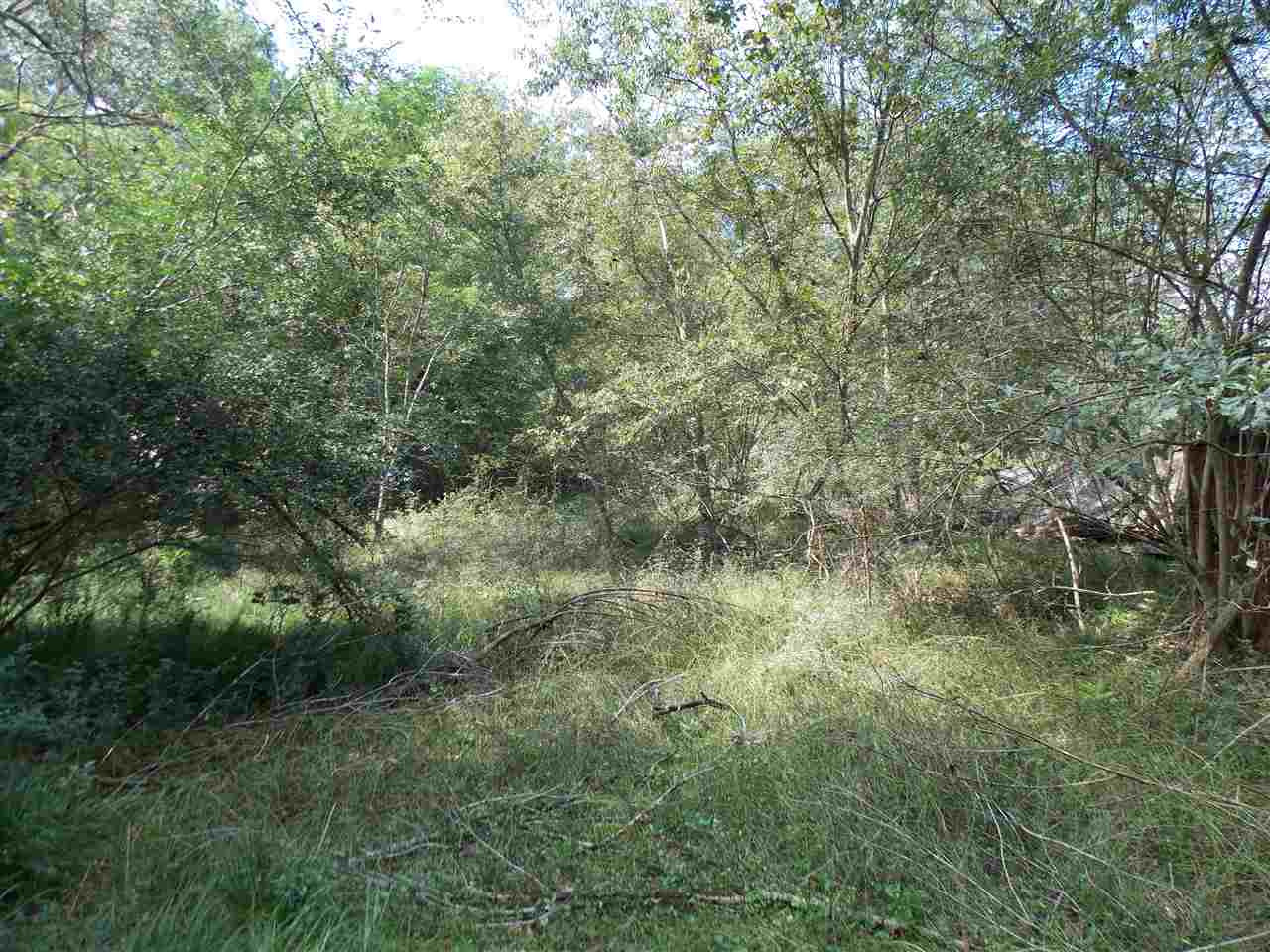 425 Virlilia Road Canton, MS 39046 - Photo 6 of 6 Photo 6