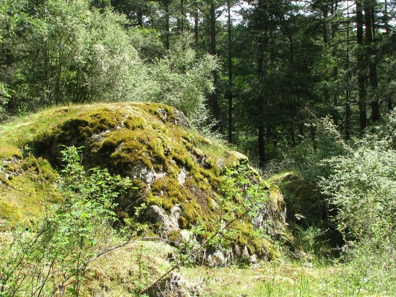 0 Lopez Sound Road Lopez Island, WA 98261 - Photo 14 of 20