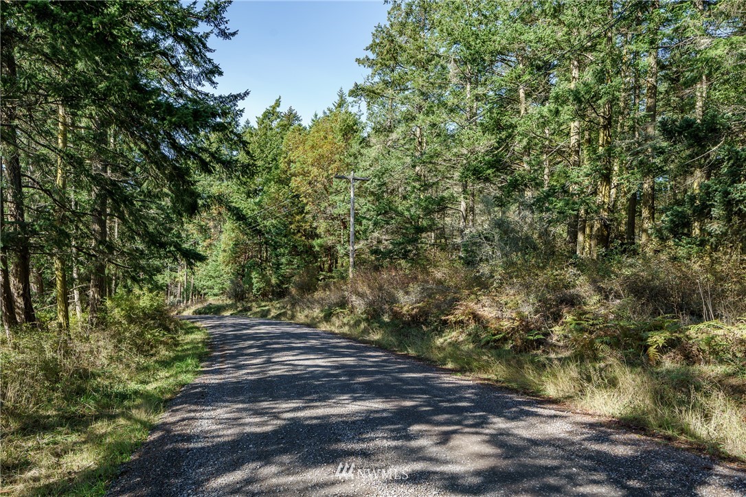 0 Lopez Sound Road Lopez Island, WA 98261 - Photo 3 of 20
