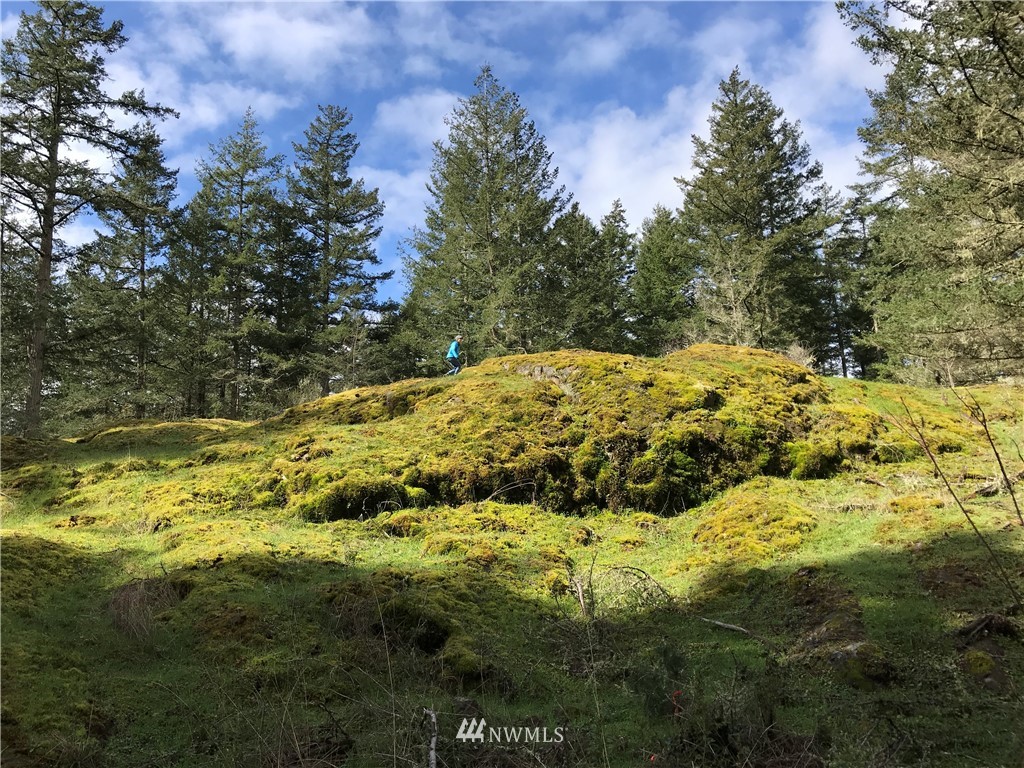 0 Lopez Sound Road Lopez Island, WA 98261 - Photo 5 of 20