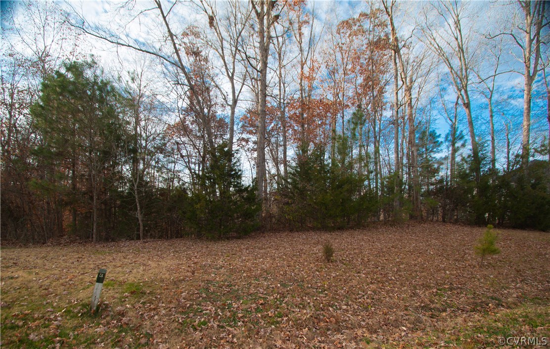14425 Riverside Drive Ashland, VA 23005 - Photo 1 of 6 Gallery Image 1