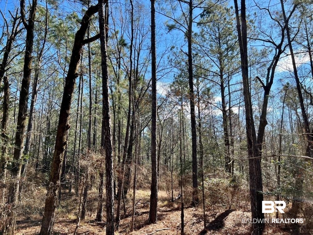 0 Country Road Deer Park, AL 36529 - Photo 11 of 46