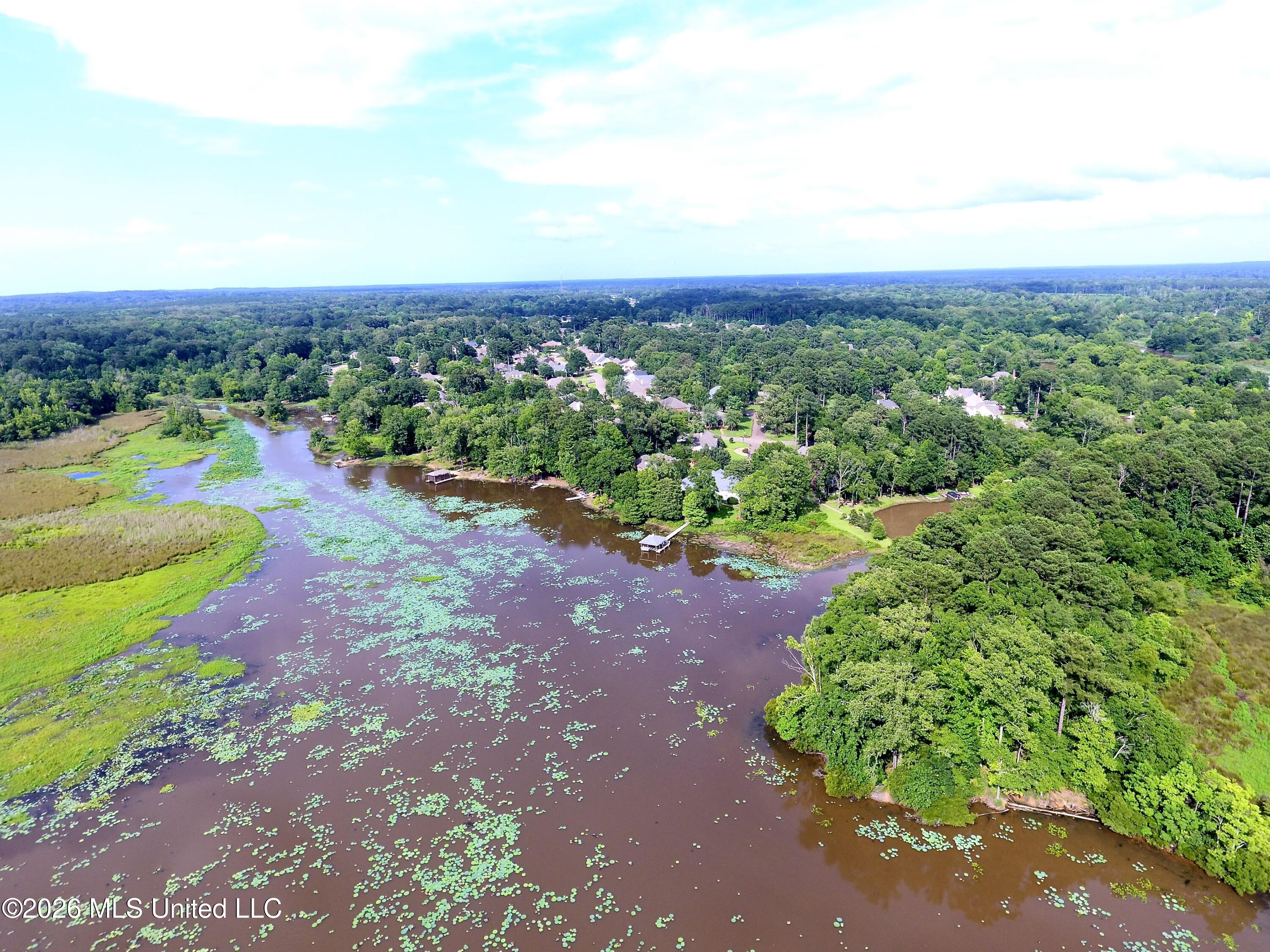 1109 Foxpoint Brandon, MS 39047 - Photo 71 of 82 DJI_0045