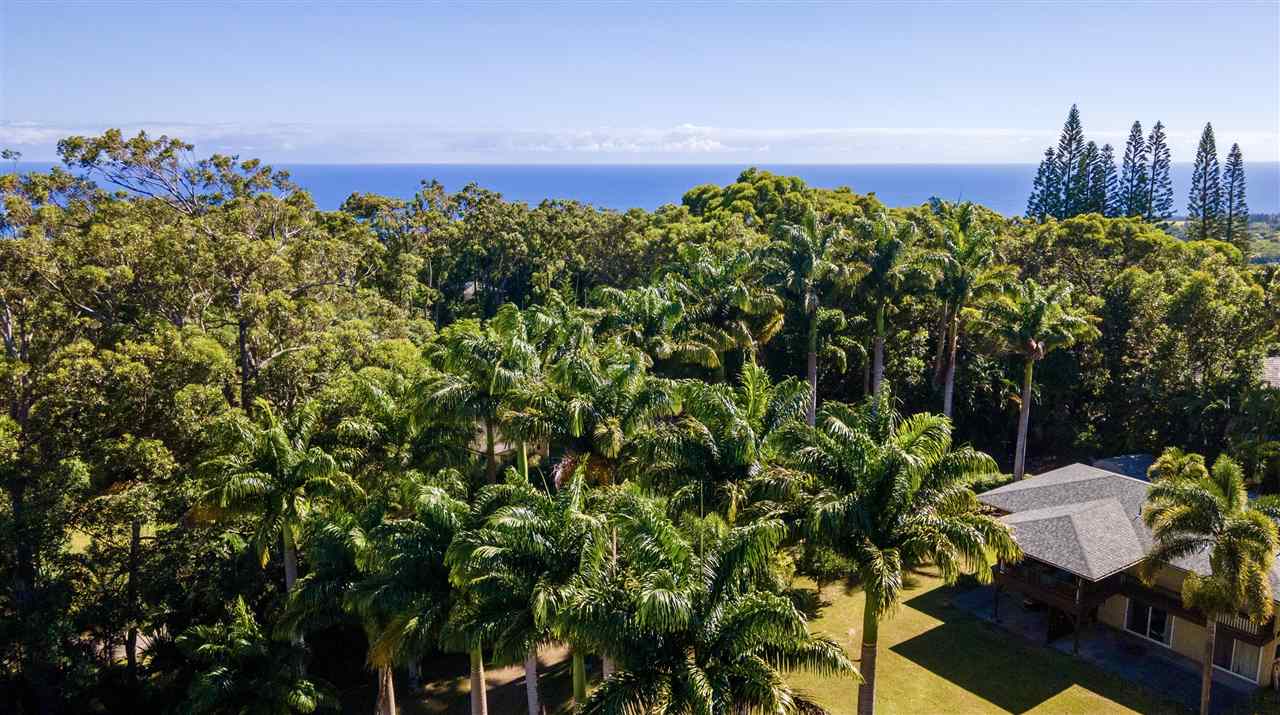 4509 Opana Place Haiku, HI 96708 - Photo 4 of 26 a view of a chairs and table in a backyard