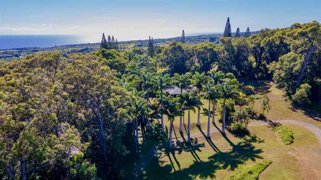 4509 Opana Place Haiku, HI 96708 - Photo 7 of 26 a view of a garden