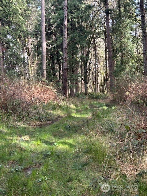 -xxx Hellman Road Clinton, WA 98236 - Photo 12 of 15