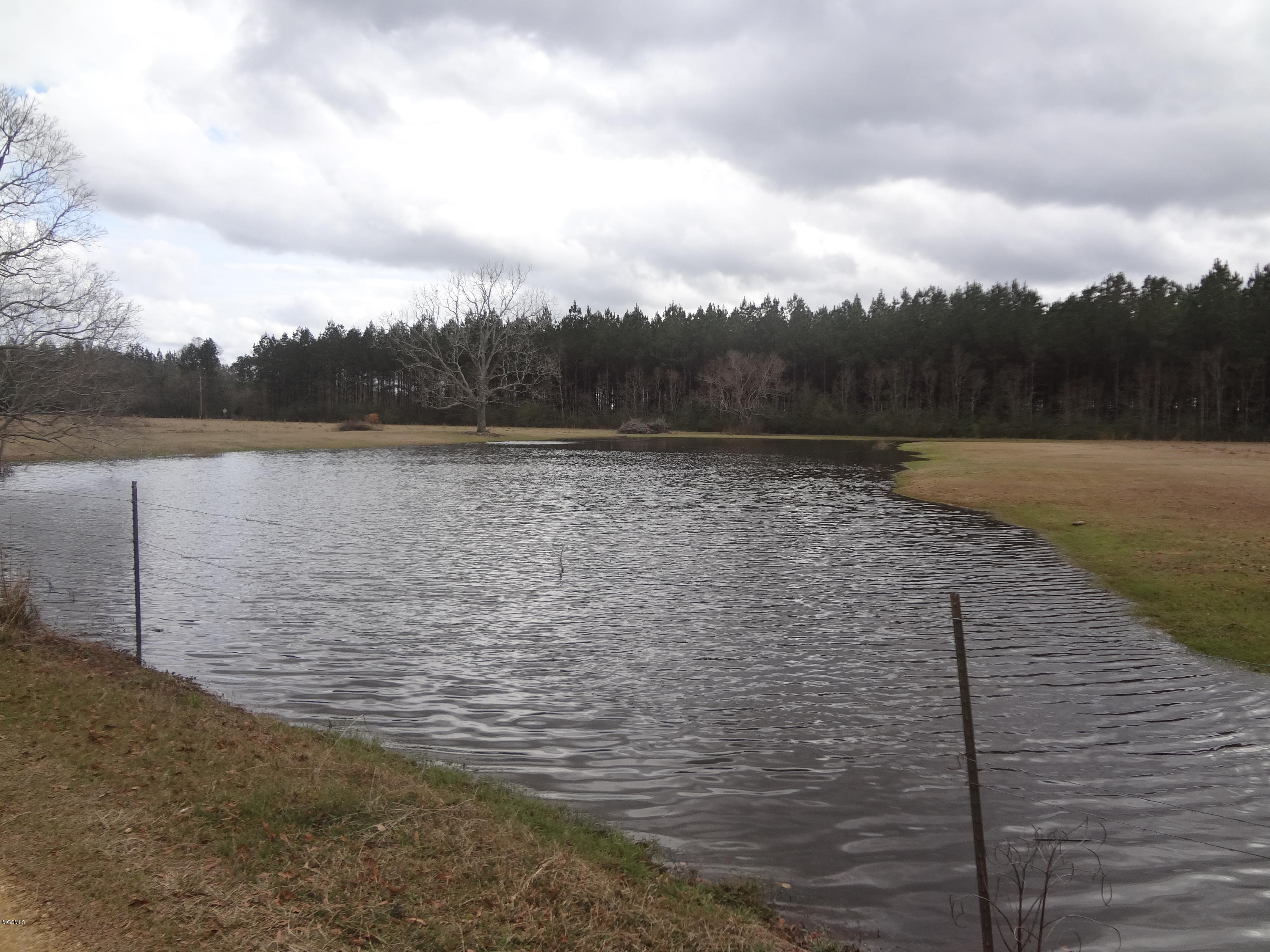 847 City Bridge Road Perkinston, MS 39573 - Photo 17 of 45 DSC02899