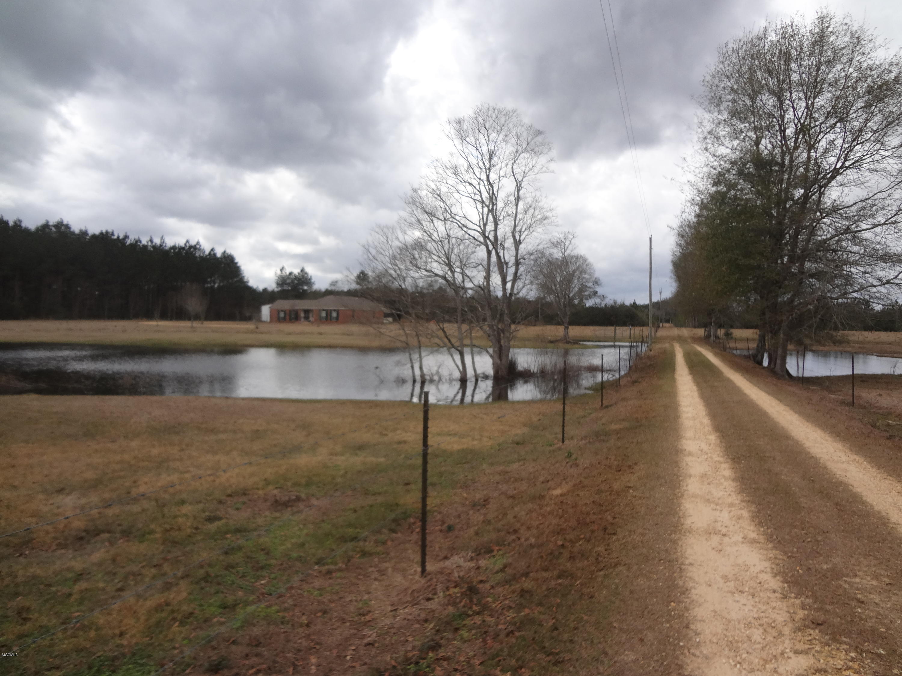 847 City Bridge Road Perkinston, MS 39573 - Photo 2 of 45 DSC02902
