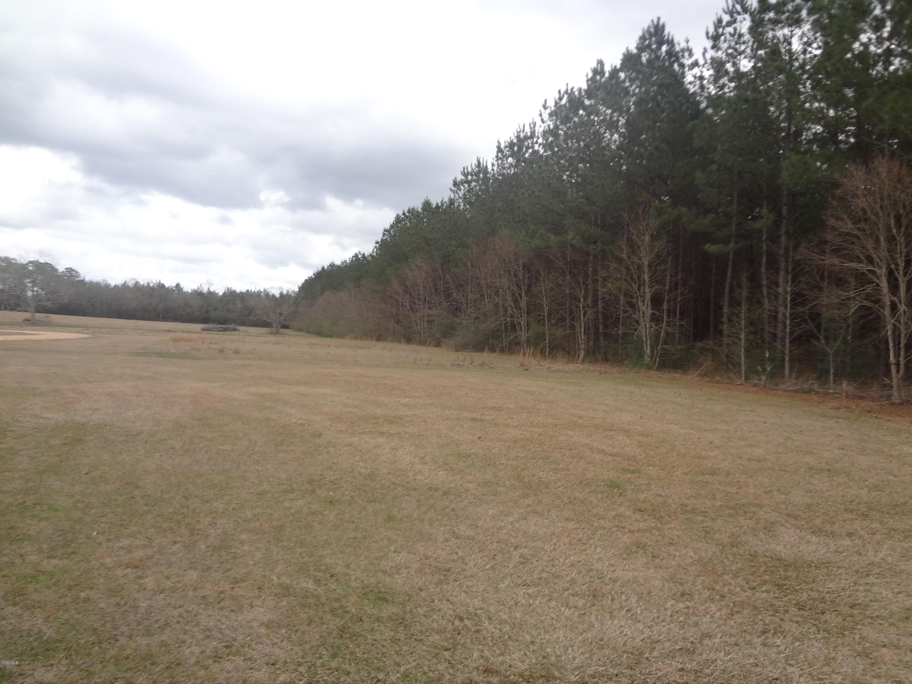 847 City Bridge Road Perkinston, MS 39573 - Photo 29 of 45 DSC02873