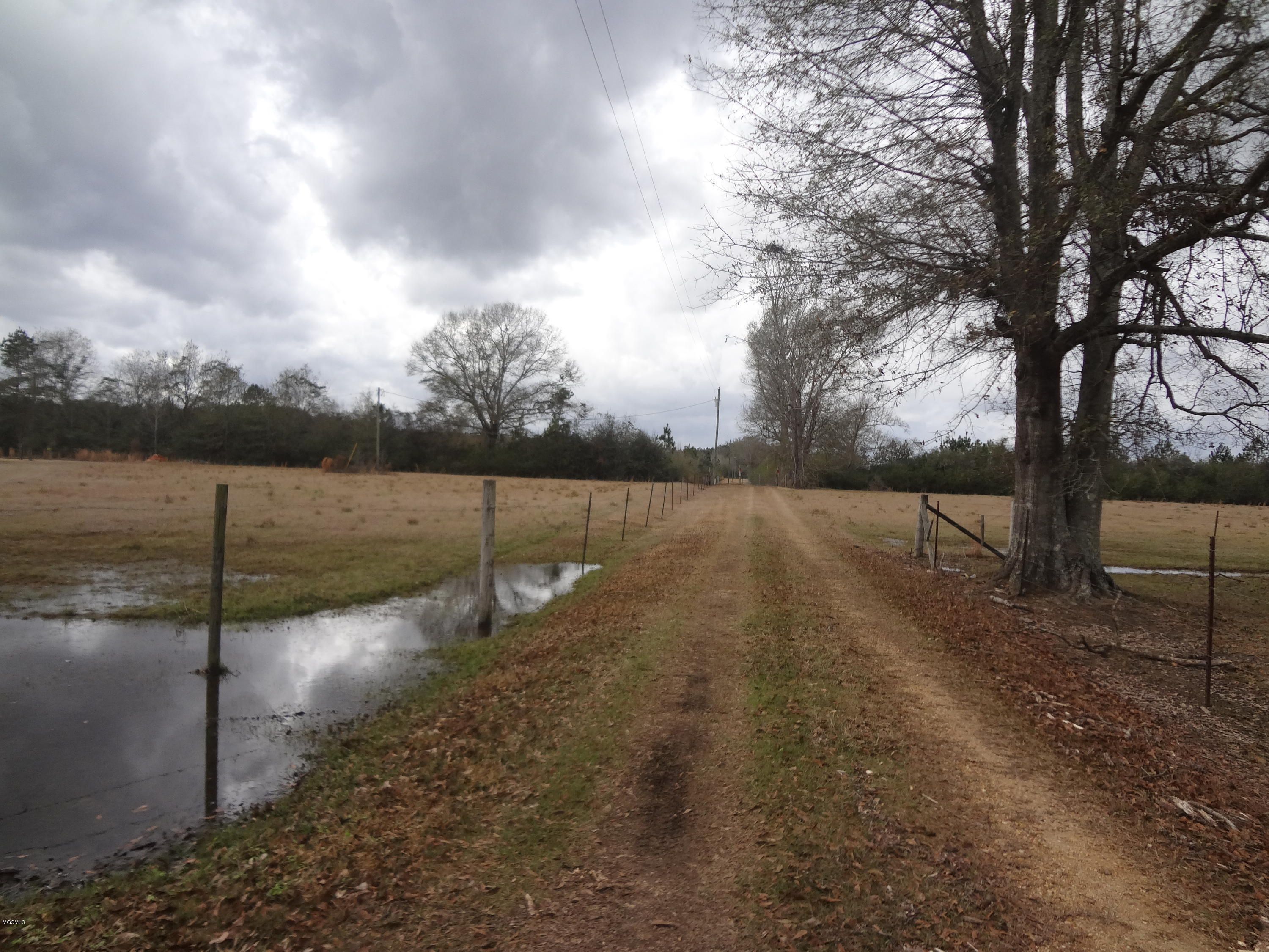 847 City Bridge Road Perkinston, MS 39573 - Photo 33 of 45 DSC02901