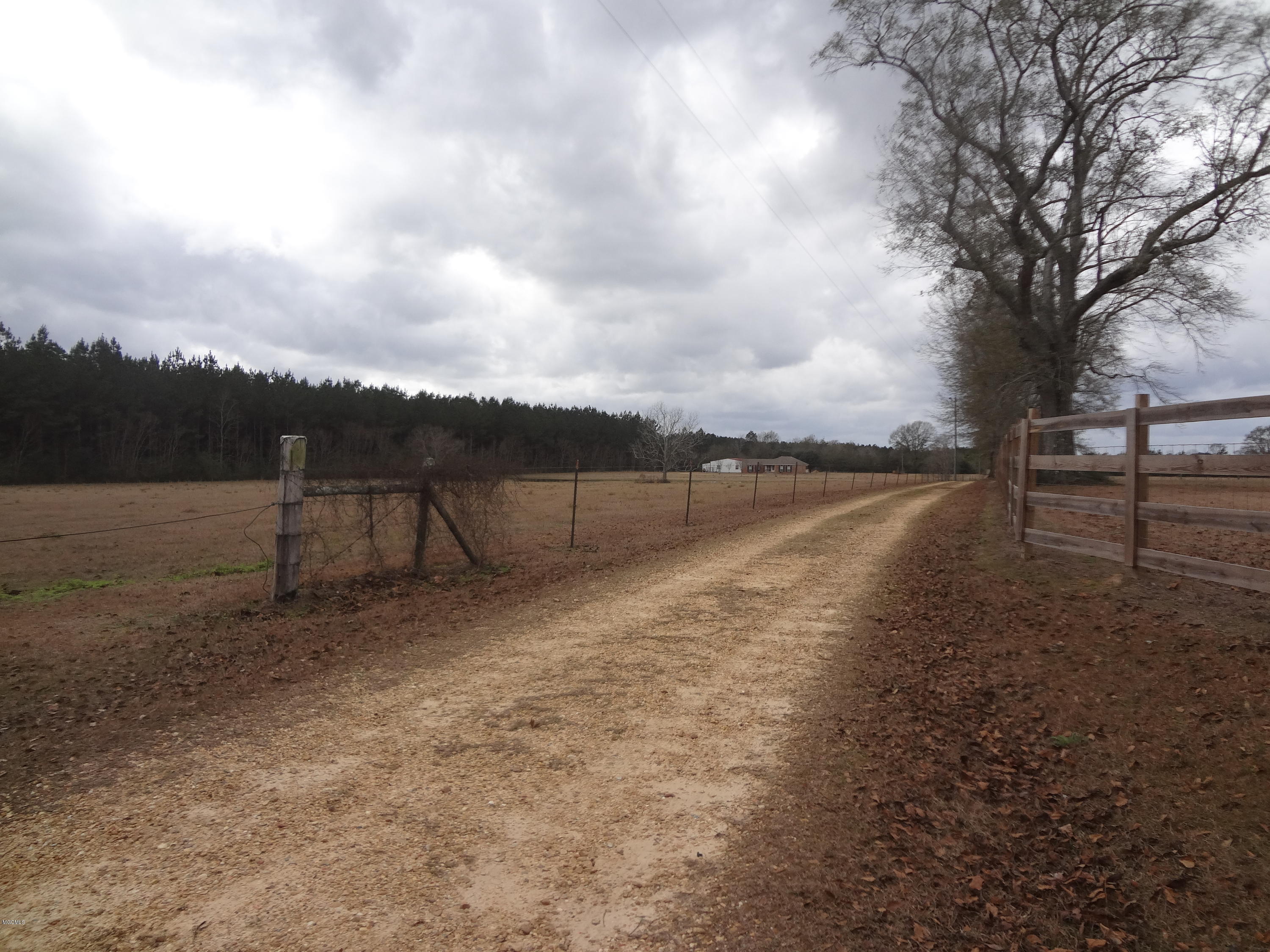 847 City Bridge Road Perkinston, MS 39573 - Photo 35 of 45 DSC02909