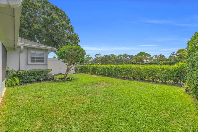 a view of a backyard with grass and a large tree