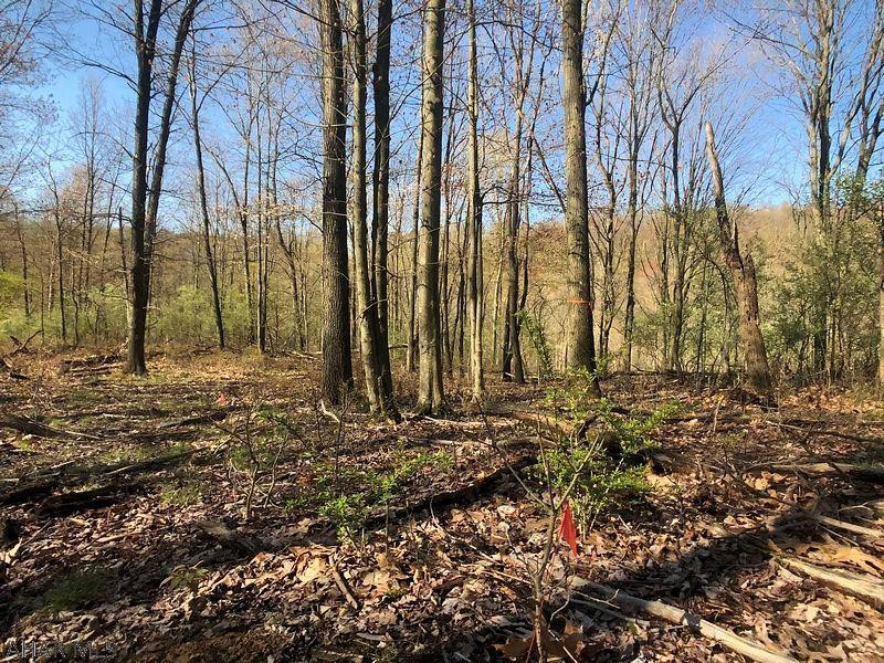 Lot 4 Baughman Cemetery Road Tyrone, PA 16686 - Photo 7 of 25 Gallery Image 7