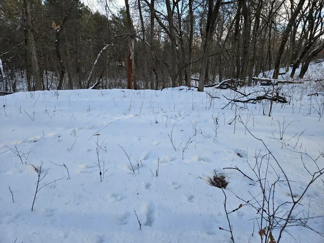 $39,000 | 322 Big Sky Trail, Nekoosa, WI 54457