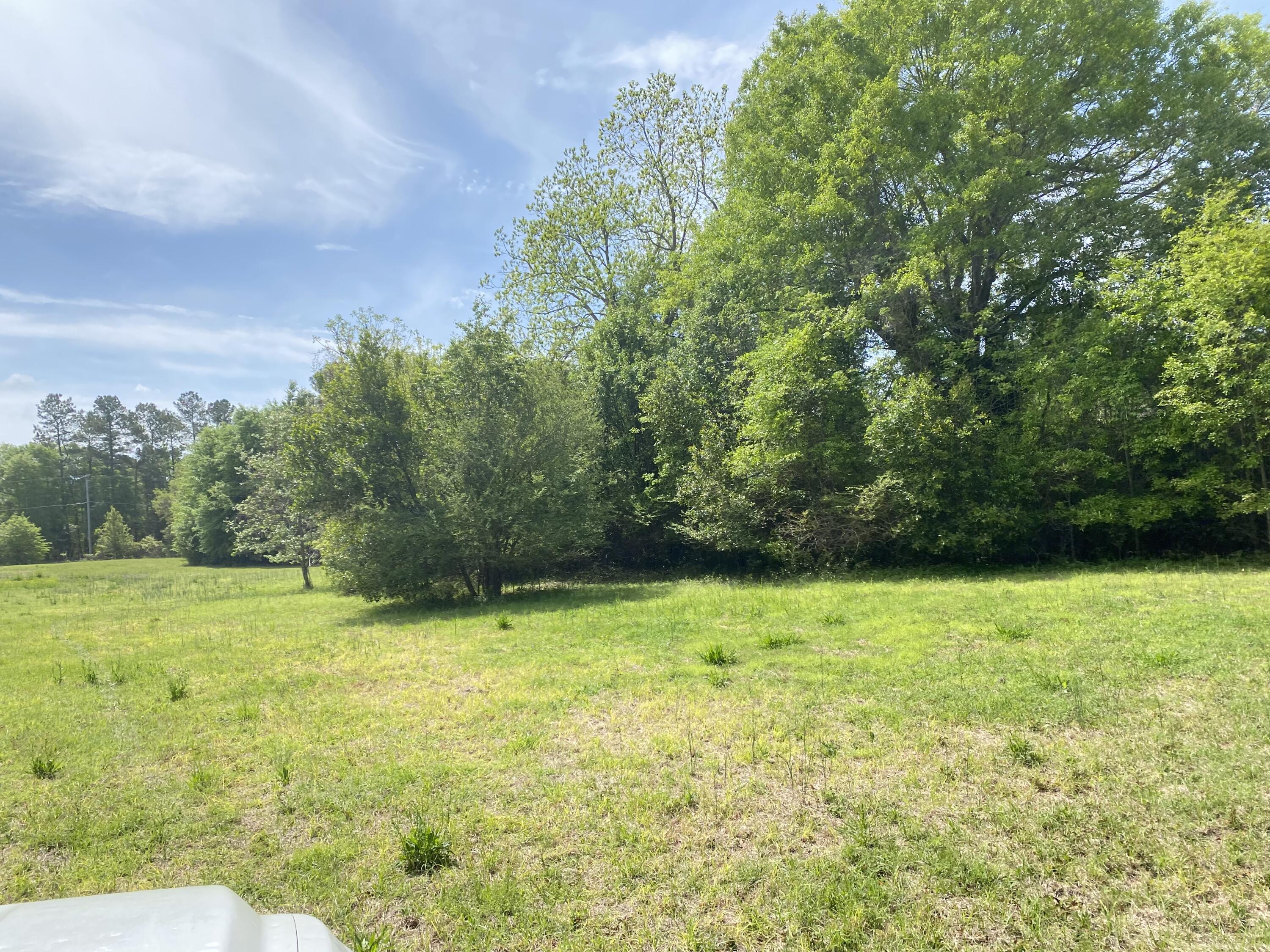 4074 Dunbarton Road Williston, SC 29853 - Photo 13 of 14