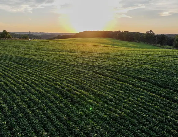 $370,024 | 40.22-acres Stump Ridge Road, Viroqua, WI 54665