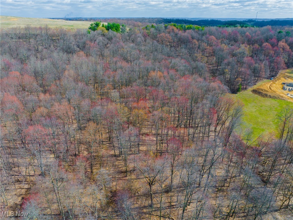 Arney Road Navarre, OH 44662 - Photo 28 of 33 Bird's eye view with a wooded view
